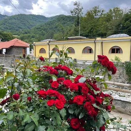 Jovanovic Daire Josanicka Banja