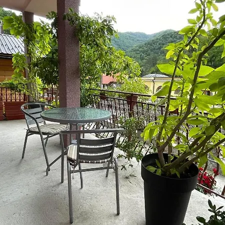 Daire Jovanovic Josanicka Banja